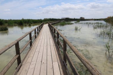 El Hondo Natural Park, Crevillente, Alicante, Spain, April 18, 2024: Wooden walkway that crosses one of the lagoons of the El Hondo natural park clipart