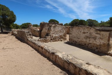 Alfonso XIII Park, Guardamar del Segura, Alicante, İspanya, 8 Mayıs 2024: