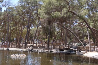 Reina Sofia Parkı, Guardamar del Segura, Alicante, İspanya, 8 Mayıs 2024: Guardamar del Segura, İspanya 'daki Reina Sofia Parkı' nda kaplumbağalı küçük göl