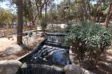 Reina Sofia Parkı, Guardamar del Segura, Alicante, İspanya, 8 Mayıs 2024: Guardamar del Segura, İspanya 'daki Reina Sofya Parkı' ndaki su akıntıları
