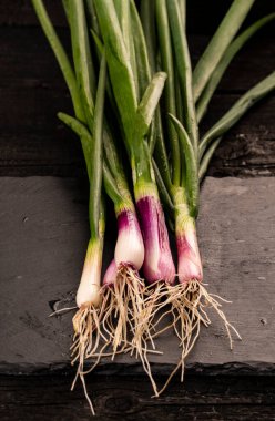 Taş tahtada bir demet taze soğan (soğanlar). Üst görünüm.