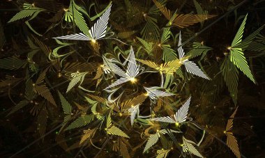 kuş şekli soyut koleksiyon arkaplanı