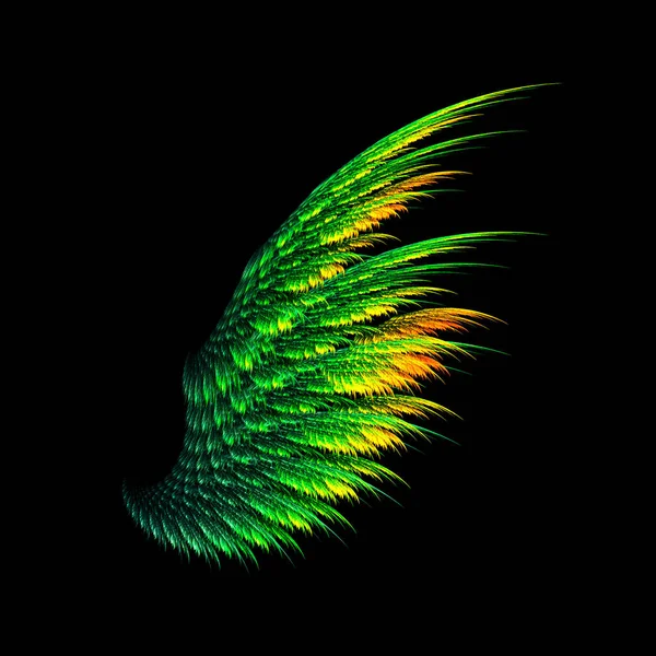 Ένα Πορτοκαλί Πράσινο Φτερό Διαβάθμισης — Φωτογραφία Αρχείου
