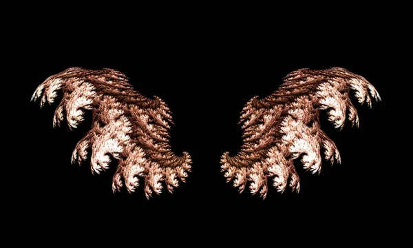 两张褐色翅膀的图片2 — 图库照片