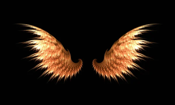 两个褐色翅膀的图片5 — 图库照片