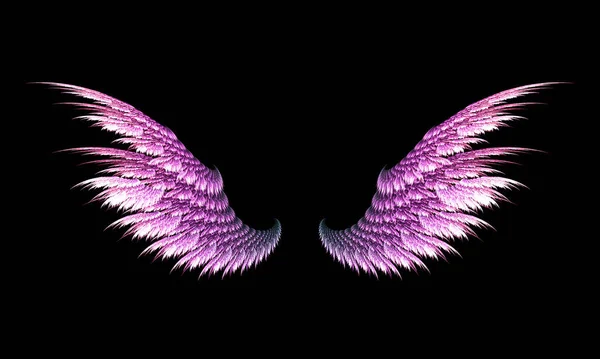 两张紫色翅膀的照片 — 图库照片