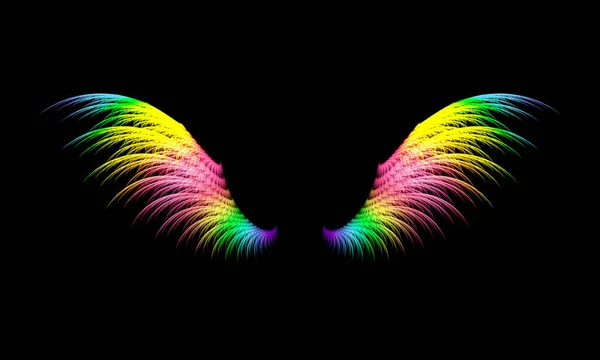 Çeşitli renkte iki kanat resmi 1