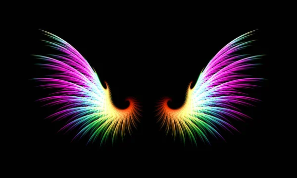 Bild Von Zwei Flügeln Verschiedenen Farben — Stockfoto