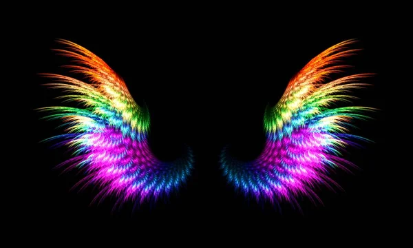 Bild Von Zwei Flügeln Verschiedenen Farben — Stockfoto