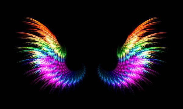 picture of two wings of various colors 4