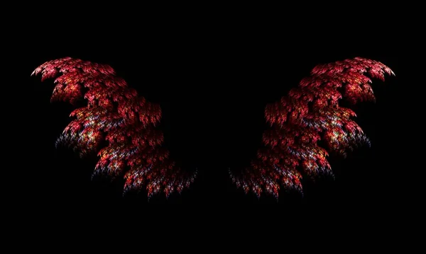 不同颜色的两个翅膀的图片4 — 图库照片