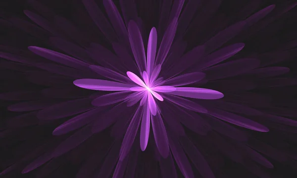 Малюнок Фіолетового Квіткового Фону — стокове фото