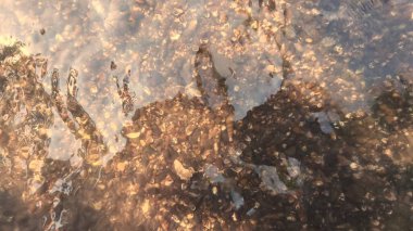 Temiz su dalgaları arka plan, saf