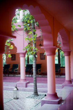 Asılı bitkileri olan güzel pembe bina koridoru mimarisi (1)