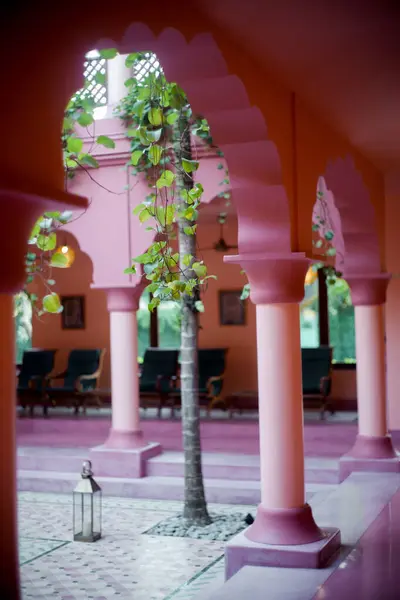 Asılı bitkileri olan güzel pembe bina koridoru mimarisi (1)