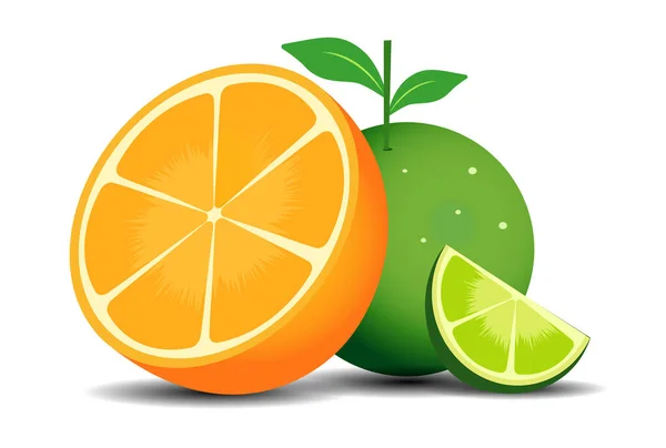 Illustration Two Juicy Oranges Tree Leaf — Stock Vector