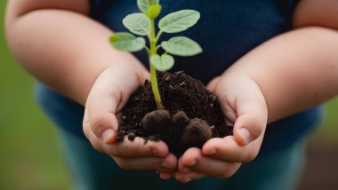 Bir çocuğun bir çift elinin üzerinde büyüyen bir bitki olan bir toprak yığınını tutarken. bitki ellerde