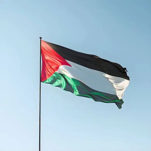 flag of palestine. palestine flag