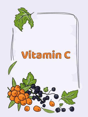 Parlak vektör, el çizimi illüstrasyon, C vitamini içeren meyveli çerçeve