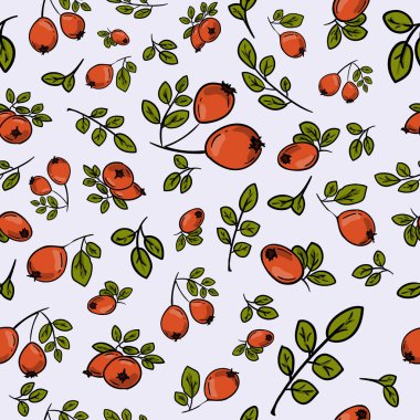  Açık arkaplanda gül kalçalı hediye kağıdı için parlak, pürüzsüz vektör deseni. 