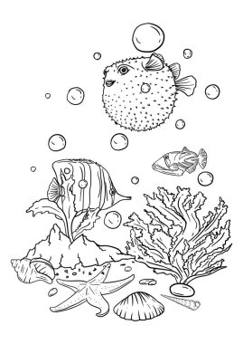  Su altı dünyasının, içinde güzel balıklar, deniz kabukları ve deniz yosunları olan boyama kitabının vektör çizimi. Vektör illüstrasyonu