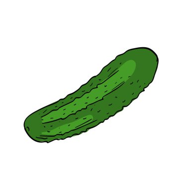 Salatalık. Sebzelerin vektör eliyle çizilmiş hali. Yemek malzemesi. Beyaz arka planda izole bir etiket var. Vektör illüstrasyonu