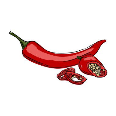 Acı biber. Sebzelerin temsili el çizimi. Yemek pişirmek için. Beyaz arka planda izole bir etiket var. Vektör illüstrasyonu