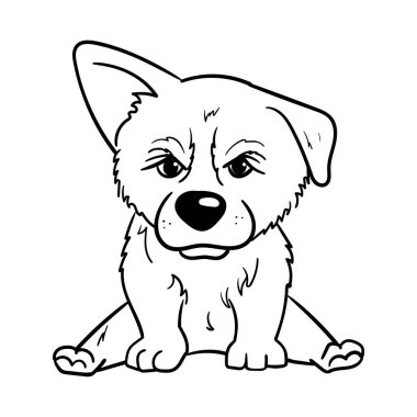 Kızgın bir Corgi köpeği olan çocuklar için kolay boyama sayfası. Çocuk kitabı, çıkartması ve çıkartması için vektör doğrusal siyah beyaz bir köpek çizimi. Vektör illüstrasyonu