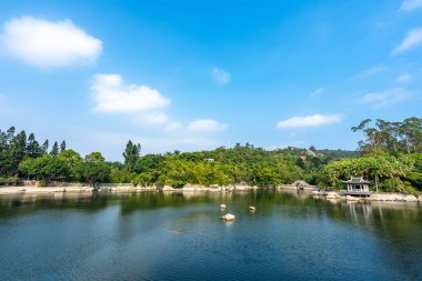 Sakin bir göl, dağınık ağaçlarla dolu yemyeşil bir yamacı ve Çin 'in Xiamen şehrinde bulunan beyaz bulutlu parlak mavi bir gökyüzünün altında geleneksel bir pavyonu yansıtır..