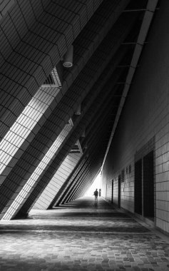 Yalnız bir figür dramatik gölgeler ve ışık altında uzun ve açılı bir koridorda yürüyor, dokulu duvarlar ve bu siyah beyaz mimari perspektifte tekrarlayan geometrik desenlerle çevrili..