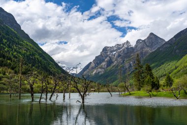 Çin 'in batı bölgesi dağları ve gölü manzarası
