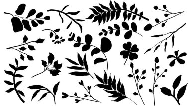 Beyaz arkaplandaki siyah botanik yaprak ve dal siluetleri tasarım elementleri ve dekorasyonlar için mükemmel..