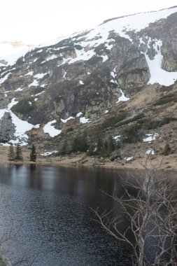 Polonya 'nın Karkonosze Dağları' ndaki Samitnia dağ kulübesinin arkasındaki küçük paund yemyeşil ve çarpıcı doğal güzelliklerle çevrili..