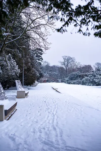 Polonya 'nın Wroclaw kentindeki Centennial Hall yakınlarında karla kaplı bir park sakin bir kış manzarası yaratarak ziyaretçileri tarihsel mimarinin ortasındaki doğanın huzurlu güzelliğinin tadını çıkarmaya davet ediyor.
