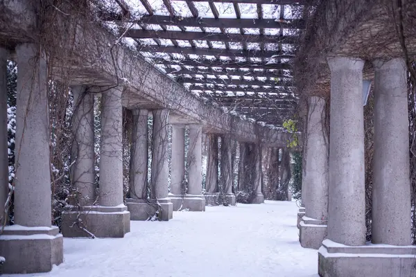 Polonya 'nın Wroclaw kentindeki Centennial Hall yakınlarındaki karla kaplı pergola, ziyaretçileri çevreleyen manzaranın cazibesi ve sükunetini tatmaya davet eden pitoresk bir kış sahnesi oluşturuyor..