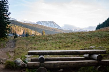 The landscapes beneath Mount Kopieniec in Zakopane, Poland, offer a picturesque view of rolling meadows, dense forests, and the majestic Tatra Mountains, inviting visitors to experience nature's serenity clipart