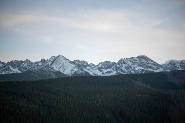 Polonya 'nın Zakopane kentindeki Kopieniec Dağı' nın tepesinde gün batımı, Tatra Dağları 'nın üzerine sıcak bir ışık saçıyor. Canlı renkleri ve nefes kesici manzaralarıyla doğa severleri büyüleyen çarpıcı bir manzara yaratıyor..