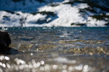 An unparalleled view of a crystal-clear lake in the Valley of Five Ponds, Tatra Mountains, Poland, reveals stunning alpine beauty, surrounded by rugged peaks and lush greenery clipart