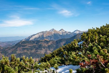 Unmatched mountain views in the Valley of Five Ponds, Tatra Mountains, Zakopane, Poland, reveal rugged peaks and alpine lakes, creating a breathtaking natural landscape clipart