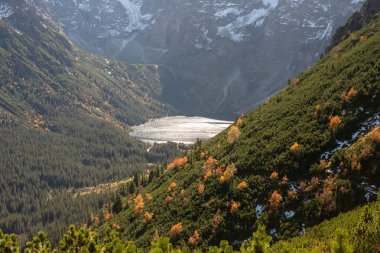 Tatra Dağları 'ndaki Morskie Oko Gölü, Zakopane, Polonya, temiz zümrüt suları ve çarpıcı dağ zeminiyle doğaya barışçıl bir kaçış sunuyor..
