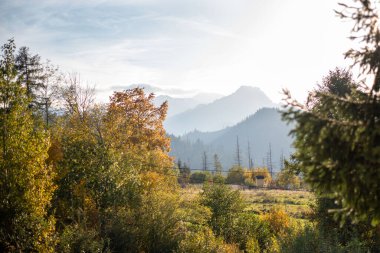 Polonya 'nın Zakopane kentindeki Kopieniec Dağı' nın altındaki manzaralar, doğanın dinginliğini deneyimlemek için ziyaretçileri davet eden yuvarlanan çayırlar, yoğun ormanlar ve görkemli Tatra Dağları 'nın manzarasını sunuyor.