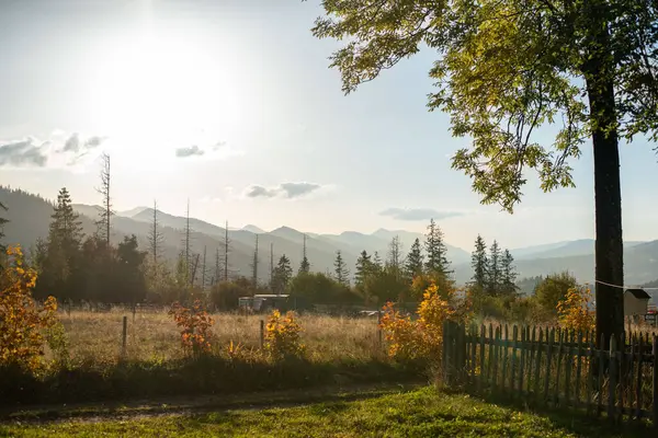 Polonya 'nın Zakopane kentindeki Kopieniec Dağı' nın altındaki manzaralar, doğanın dinginliğini deneyimlemek için ziyaretçileri davet eden yuvarlanan çayırlar, yoğun ormanlar ve görkemli Tatra Dağları 'nın manzarasını sunuyor.