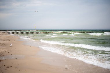 The coastline of the Baltic Sea in northern Poland features stunning sandy beaches, picturesque dunes, and lush greenery, offering a serene escape for nature lovers and beachgoers. clipart