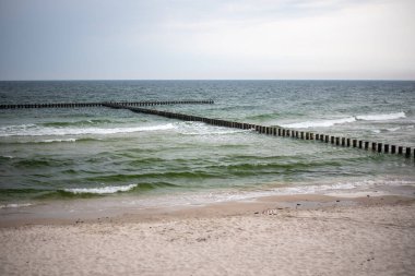 Kuzey Polonya 'daki Baltık Denizi kıyı şeridinde büyüleyici kumsallar, pitoresk kumullar ve yemyeşil alanlar, doğa severler ve plaja gidenler için huzurlu bir kaçış sunuyor..