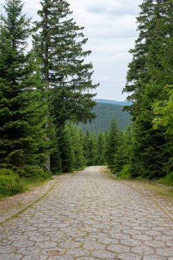 Karkonosze 'nin Szrenica zirvesinden, çarpıcı manzara boyunca vadi ve dağların geniş manzaraları gözler önüne seriliyor.
