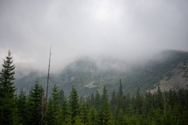 Karkonosze Dağları sisle örtülmüş sisli tepeler ve gizli vadilerden oluşan mistik bir manzara yaratır..
