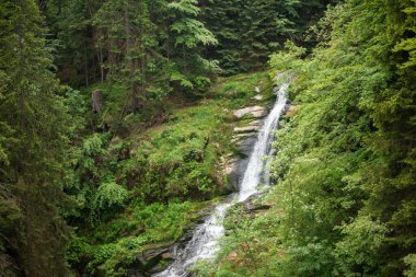 Kamienczyk Şelalesi, Szklarska Poreba 'da ormandaki bir vadide şelaleyi aşar ve şaşırtıcı bir doğal manzara yaratır.