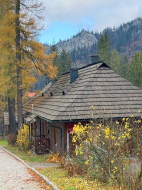 Zakopane 'nin eşsiz mimarisi, Polonya' nın Tatra Dağları eteklerindeki ahşap evleri ve alp tarzıyla tanınan pitoresk bir kasaba.
