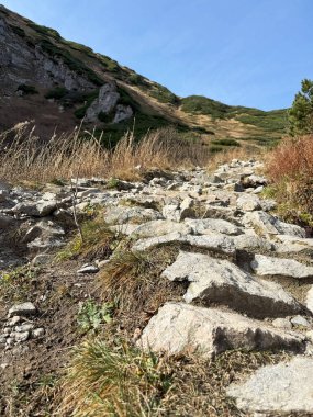 Giewont Dağı, Tatra Dağları, Polonya manzarası ve ikonik zirvesi ile ünlüdür.
