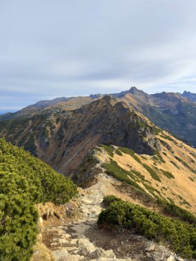 Views from Kopa Kondracka toward the Slovak Tatras, Slovakia, revealing expansive alpine landscapes and distant peaks clipart